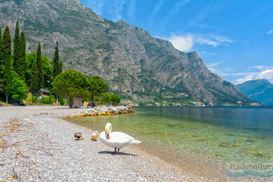 Limone sul Garda