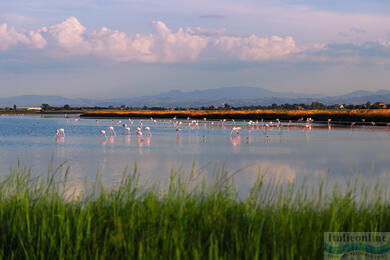 Cervia: salt, sol og tradition