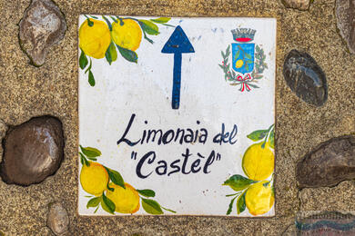 Limonaia del Castel