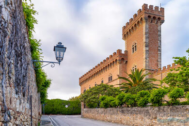 Bolgheri: tra cipressi, vigneti e campi di lavanda