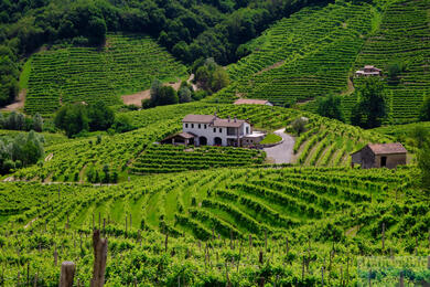 Prosecco Hills: et vinland og UNESCO-monument i hjertet af Veneto