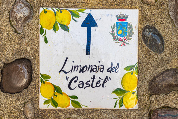 Limonaia del Castel