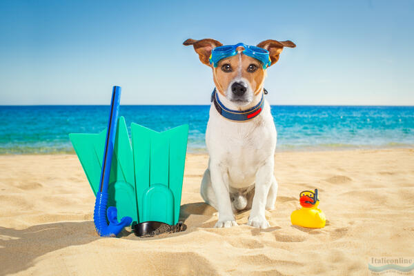 Spiagge per cani a Venezia Giulia