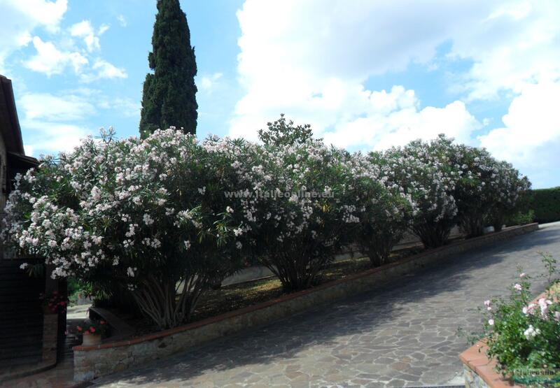 Agriturismo Le Querciole