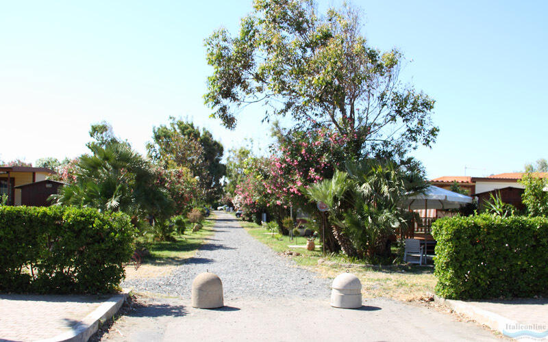 Camping Village Tuscia Tirrenica