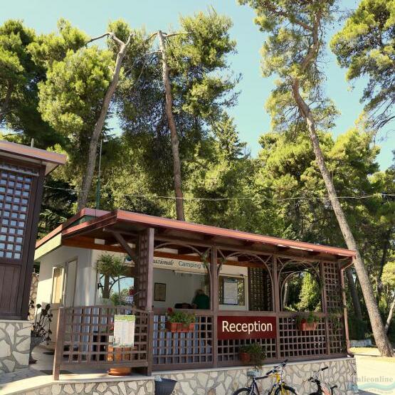 Camping Villaggio Internazionale