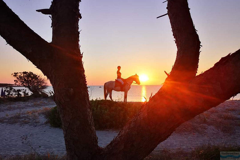 Hotel Cala Mirto