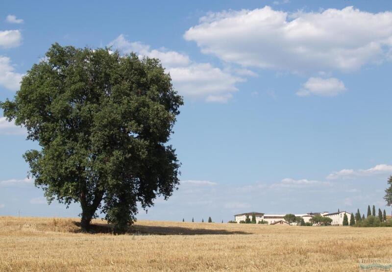 Precise House Montaperti Siena